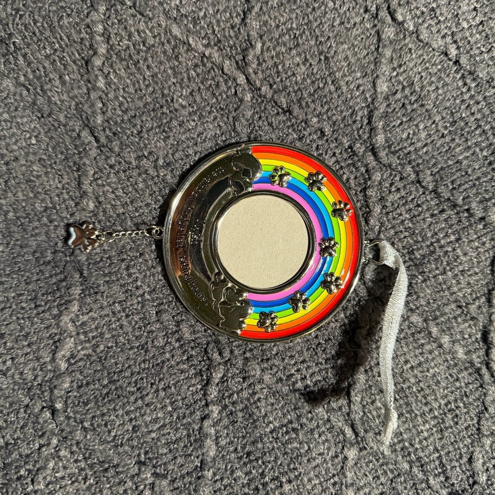 ❣️❄️Pet Colorful Rainbow Ornament with Silver Details